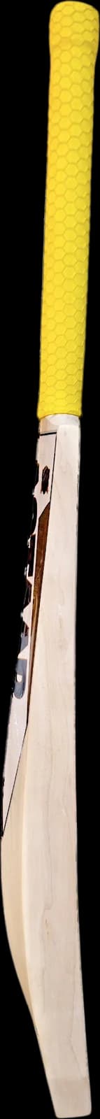 Astaad Falcon Pro Kashmir Willow Cricket Bat, left edge