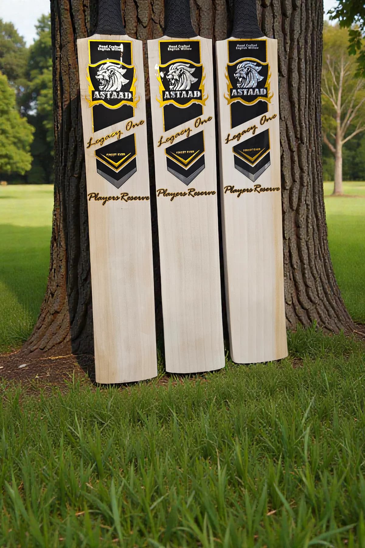 Astaad Legacy One English Willow Cricket Bat, photo 6 of 6
