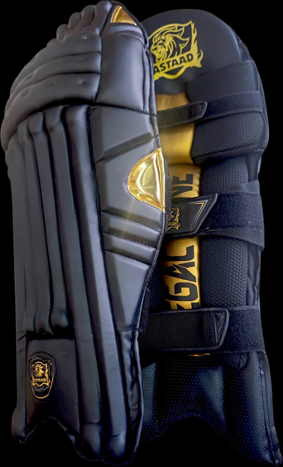 Astaad Legacy One Player Pads Black, cricket batting pads, photo 4 of 5