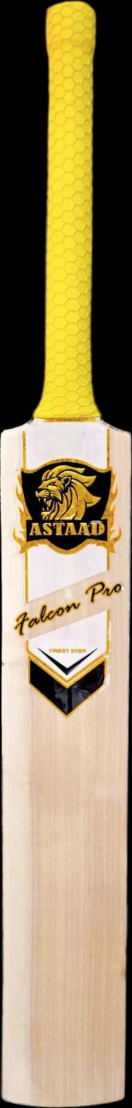 Astaad Falcon Pro bat
