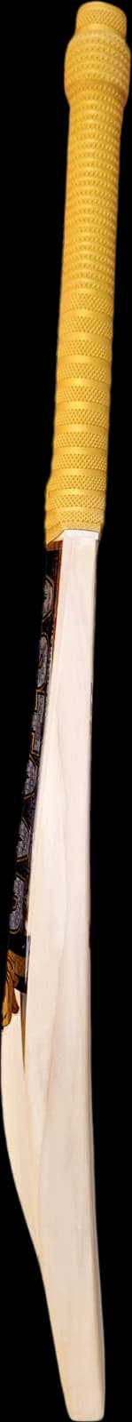 Astaad Legacy One English Willow Cricket Bat, left edge