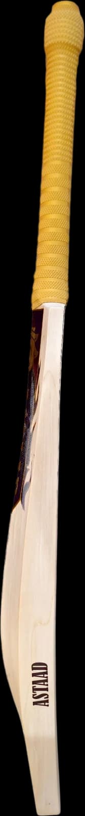 Astaad G.O.A.T Grade 1 English Willow Cricket Bat, right edge