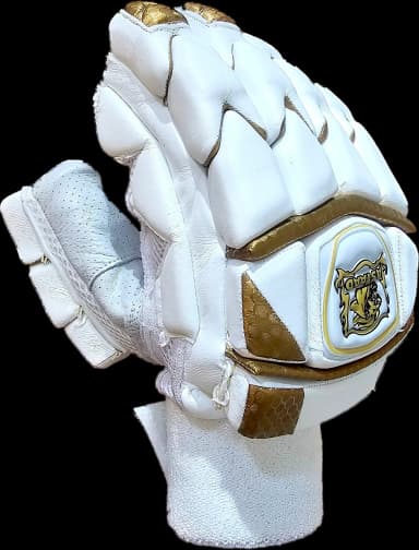 Astaad Falcon Pro Players White, cricket batting gloves