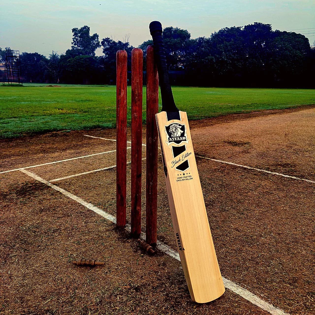 Astaad Black Edition Grade 2 English Willow Cricket Bat, photo 6 of 8
