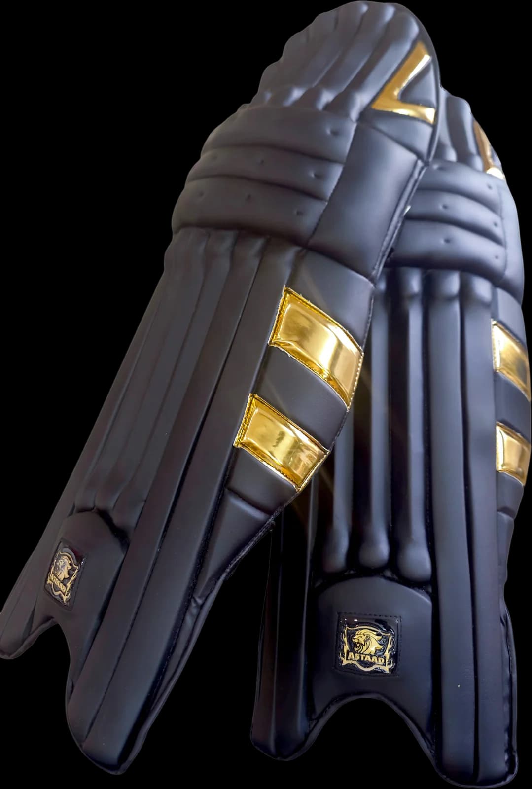 Astaad Legacy One Player Pads Black, cricket batting pads, photo 2 of 5