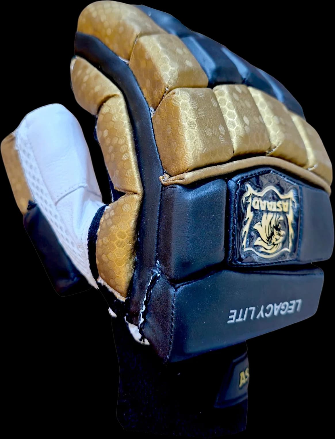 Astaad Legacy Lite Gloves Black, cricket batting gloves, photo 1 of 4
