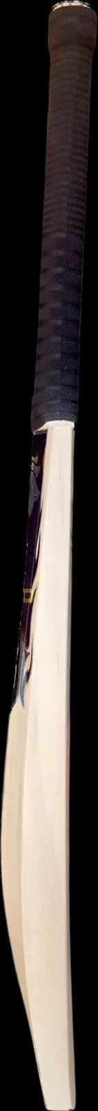 Astaad Black Edition Grade 2 English Willow Cricket Bat, left edge