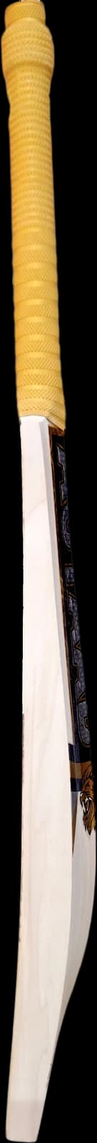 Astaad Legacy One English Willow Cricket Bat, right edge