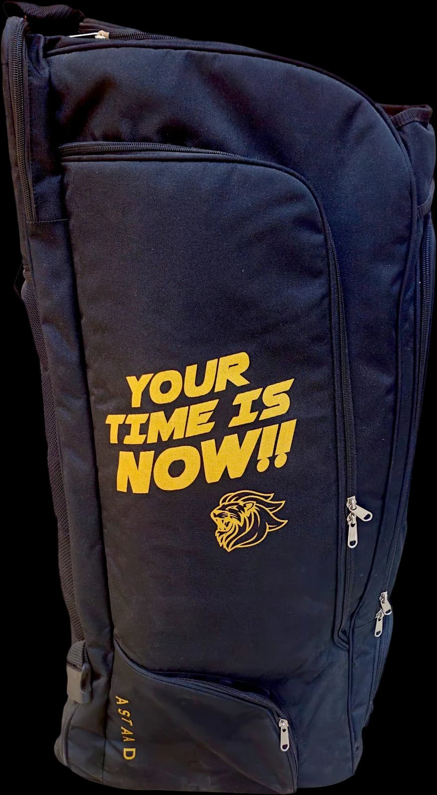 Astaad Player Series Kitbag Black, cricket kitbag, photo 4 of 4