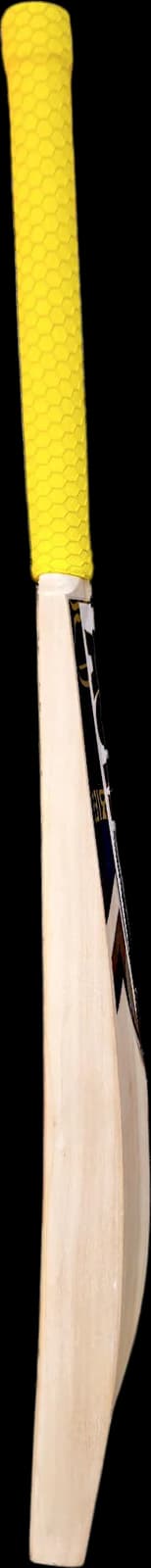 Astaad Falcon Pro Kashmir Willow Cricket Bat, right edge