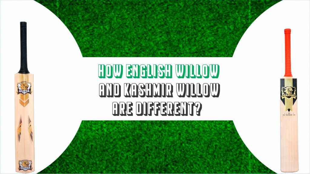 How English Willow And Kashmir Are Different