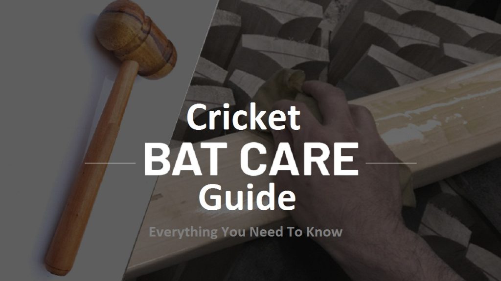 buy cricket bat online